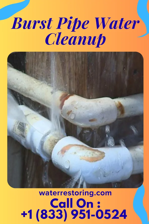 Burst Pipe Water Cleanup in Ore City, TX