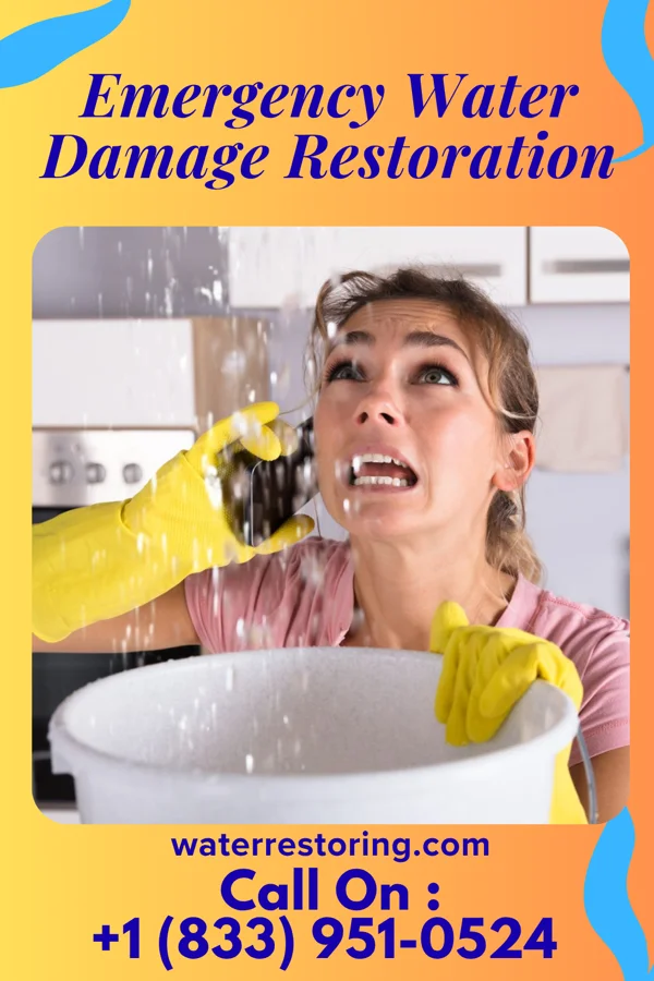 Emergency Water Damage Restoration in Ore City, TX